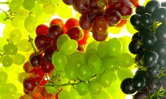 mitybos korekcija sergant varikoze